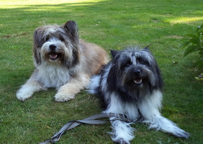Coeurby und Paula