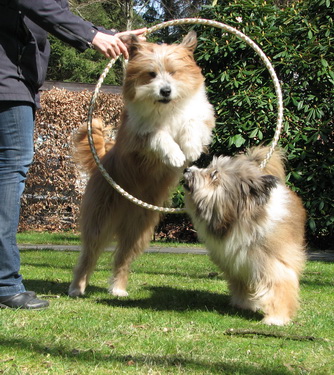 IMG 7037 web