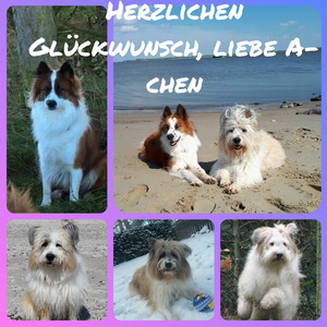 Geburtstag